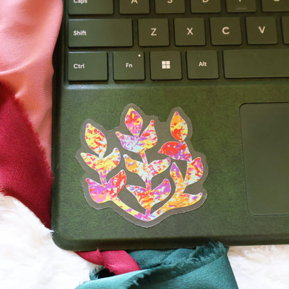 COLOR POP - FLORAL