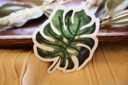 MONSTERA LEAF