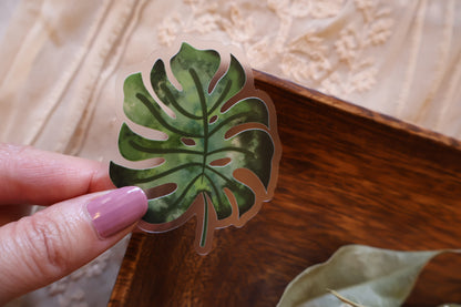 MONSTERA LEAF