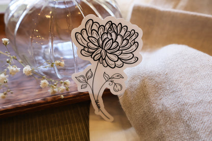 NOVEMBER - CHRYSANTHEMUM