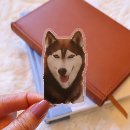 RED SIBERIAN HUSKY