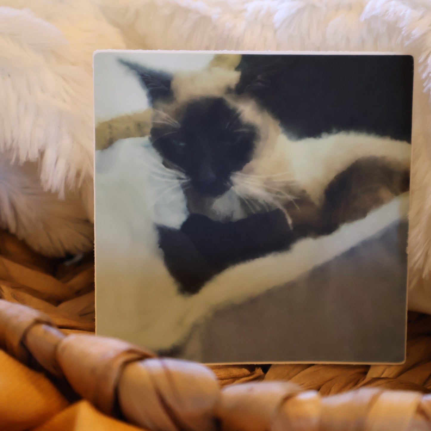 SEAL POINT SIAMESE (Watercolor)