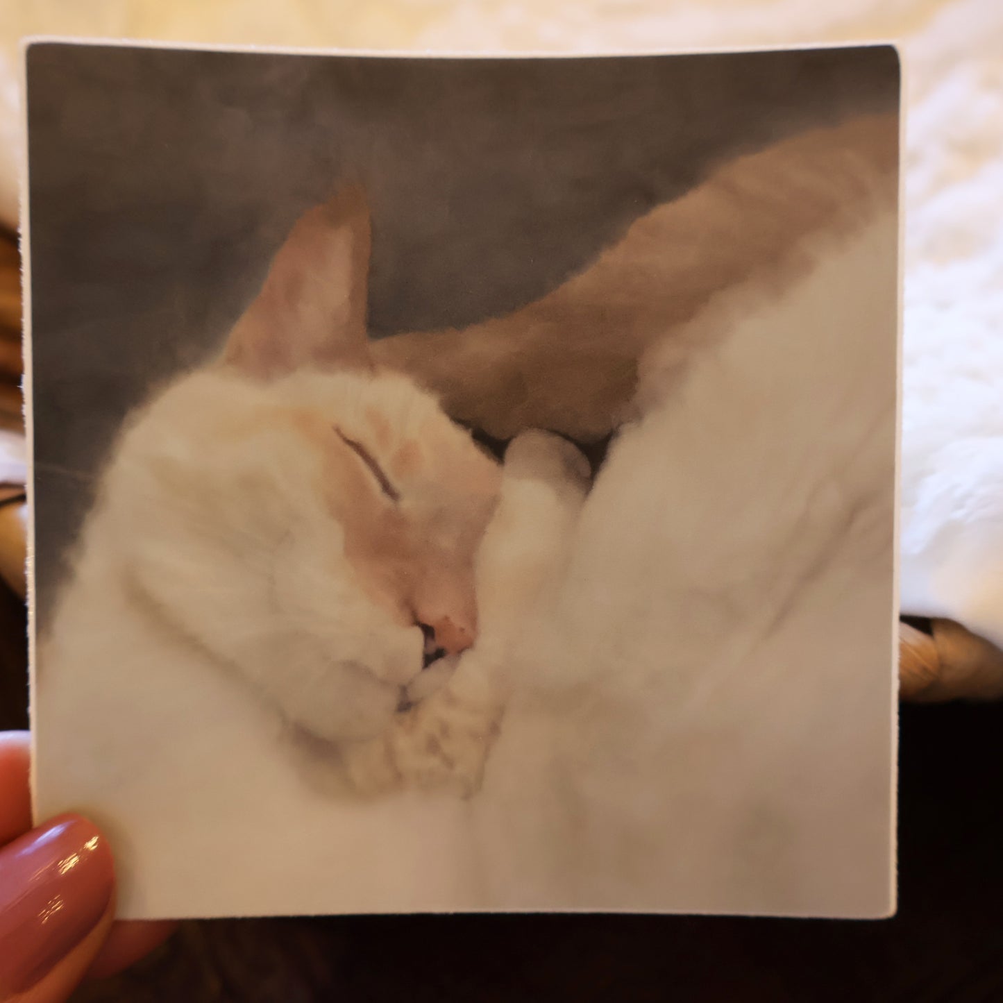 SLEEPING RED POINT SIAMESE (Watercolor)