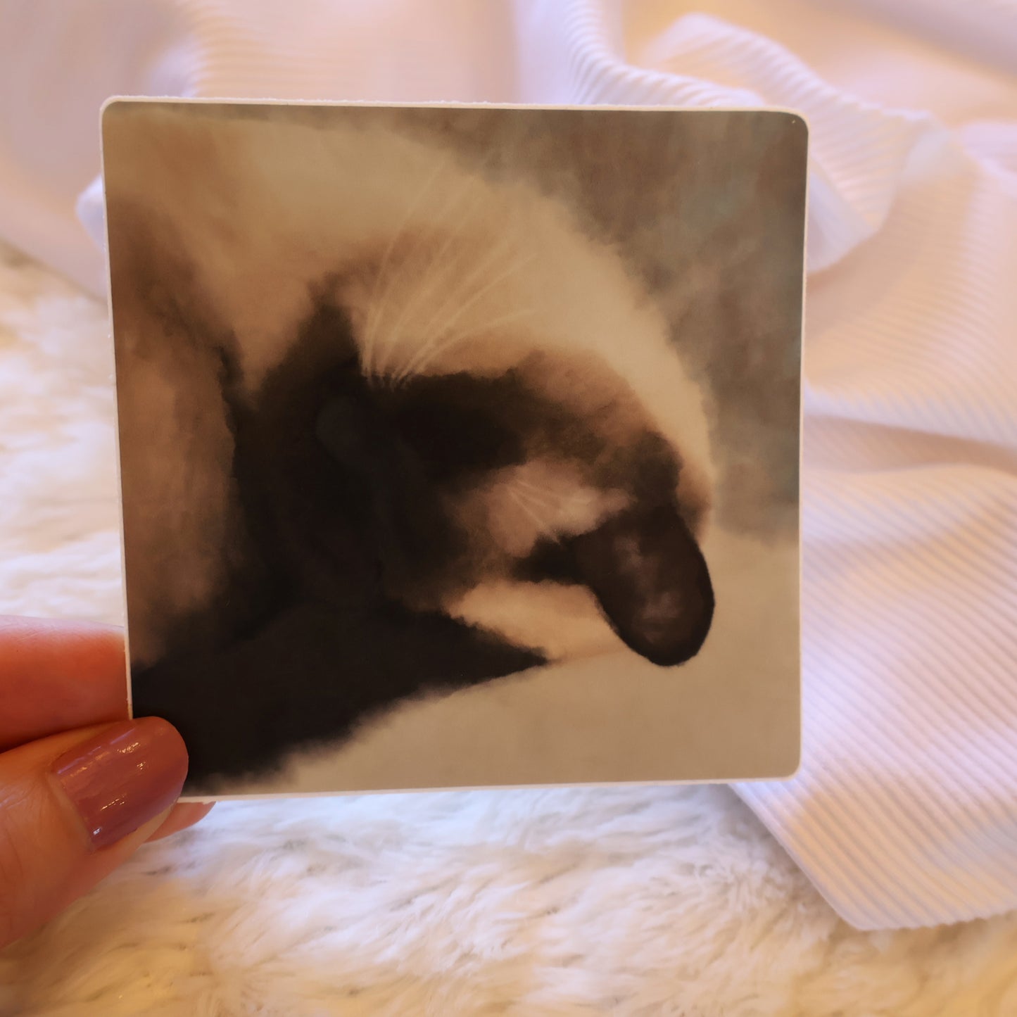 SLEEPING SEAL POINT SIAMESE (Watercolor)