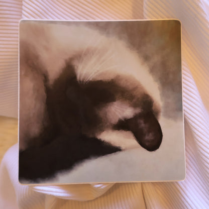 SLEEPING SEAL POINT SIAMESE (Watercolor)